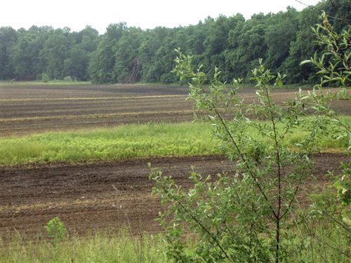 Property photo 1 - 120 Acres Offered in 9 Tracts - Real Estate & Personal Property Auctions